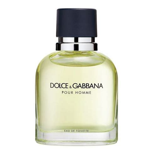 dolce gabbana pour homme|best dolce and gabbana perfume.